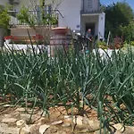 Marija דירה מרינה